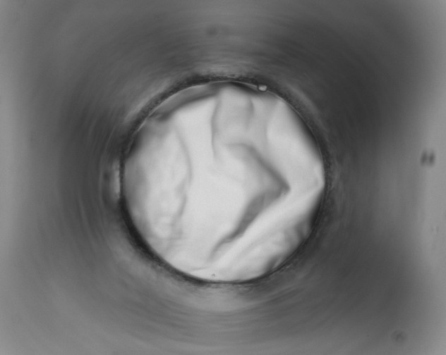 X0000113200020200910011307