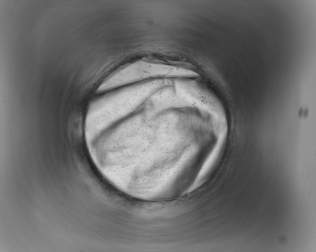 X0000113200021200910011307