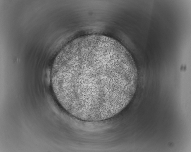 X0000113200022200910011307