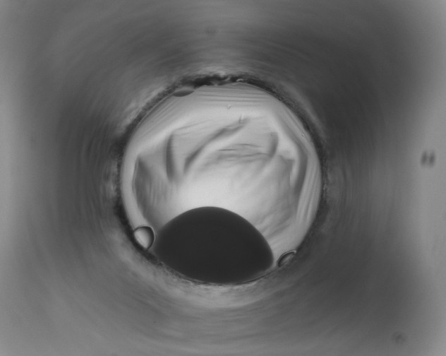 X0000113200023200910011307