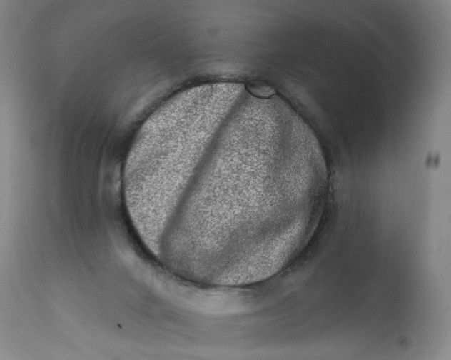 X0000113200024200910011307