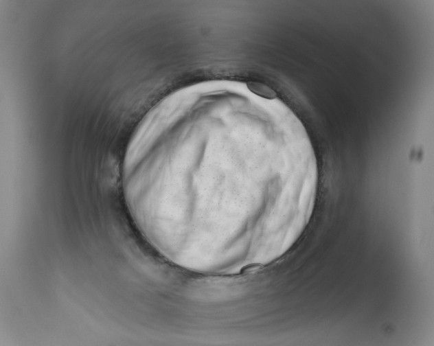 X0000113200025200910011307