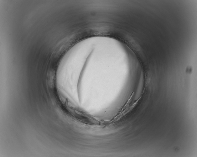 X0000113200026200910011307