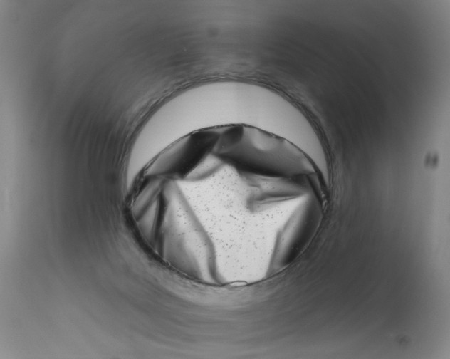 X0000113200027200910011307