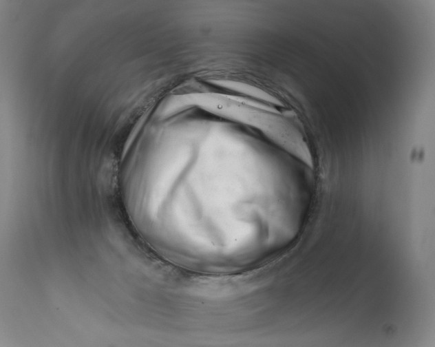 X0000113200029200910011307