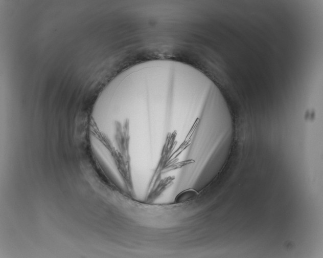 X0000113200030200910011307