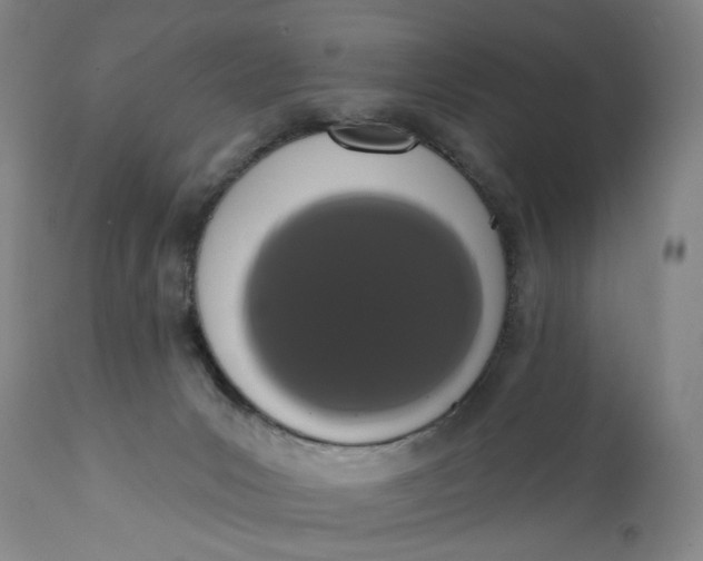 X0000113200031200910011307