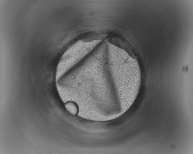 X0000113200032200910011307