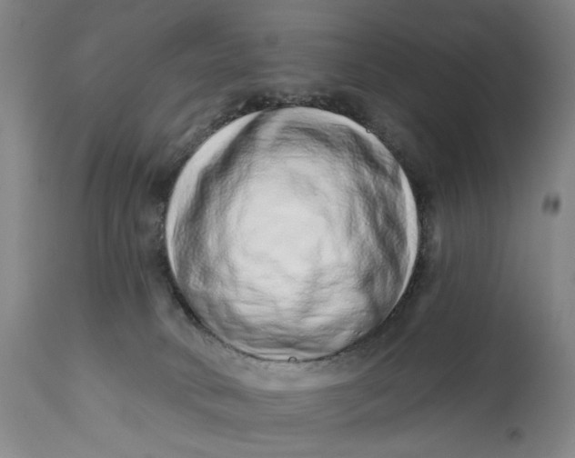 X0000113200034200910011307