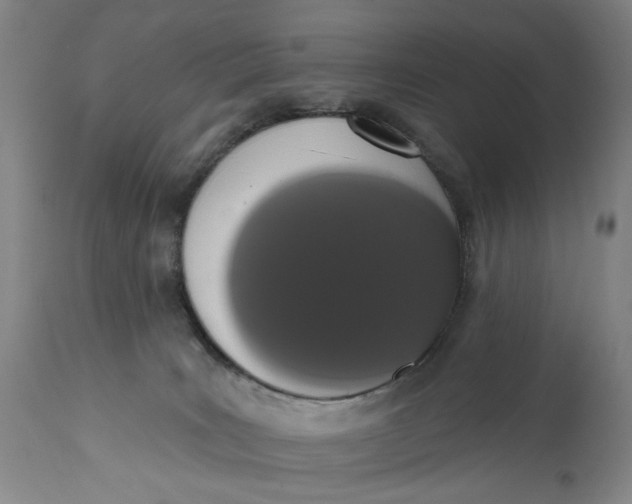 X0000113200035200910011307