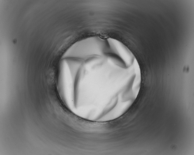 X0000113200036200910011307