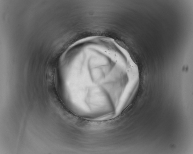 X0000113200037200910011307