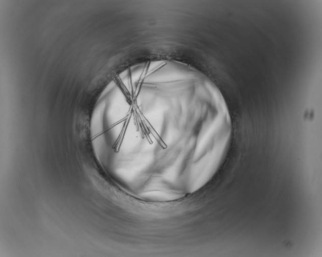 X0000113200038200910011307