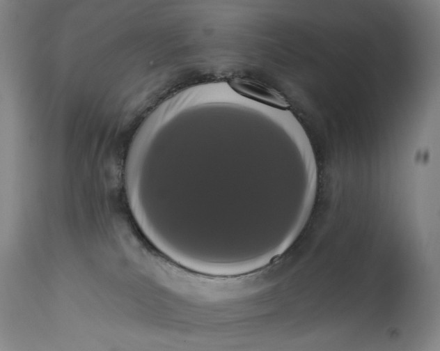 X0000113200039200910011307