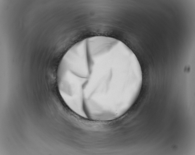 X0000113200040200910011307