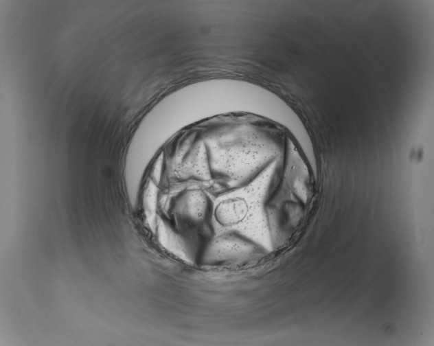 X0000113200041200910011307