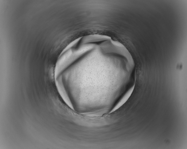 X0000113200042200910011307