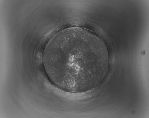 X0000113200043200910011306