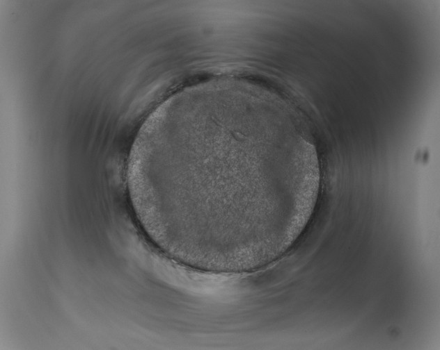 X0000113200044200910011306