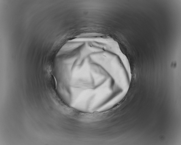 X0000113200045200910011306