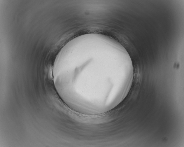 X0000113200046200910011306