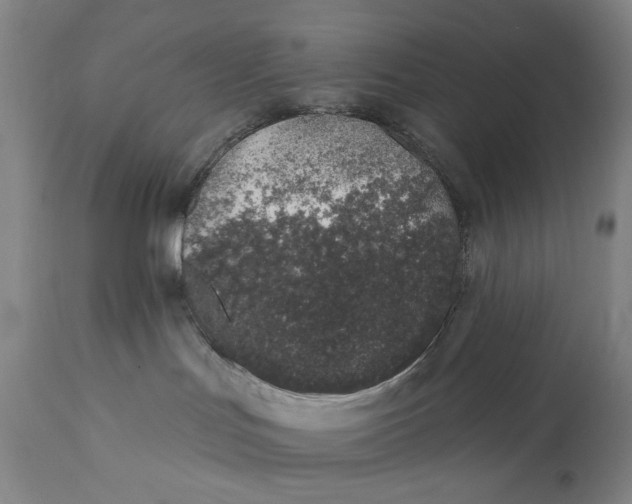 X0000113200047200910011306