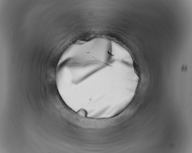 X0000113200048200910011306