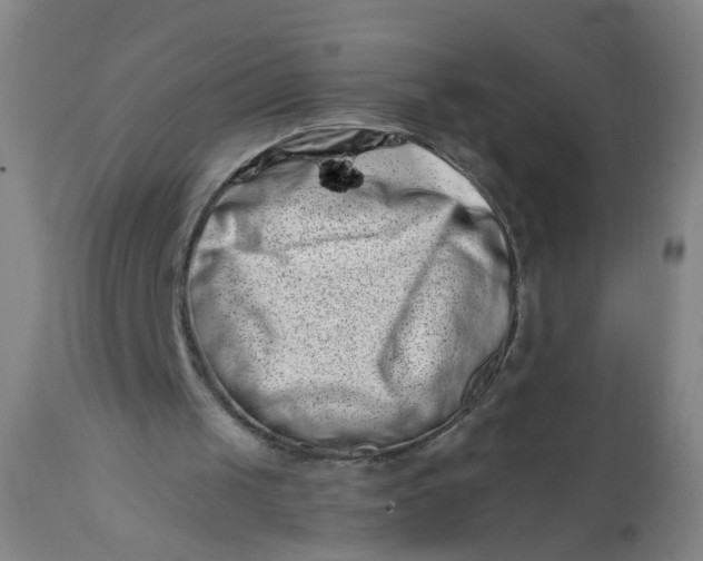 X0000113200049200910011306