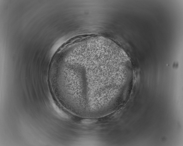 X0000113200051200910011306