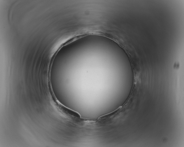 X0000113200052200910011306