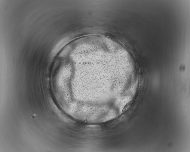 X0000113200053200910011306