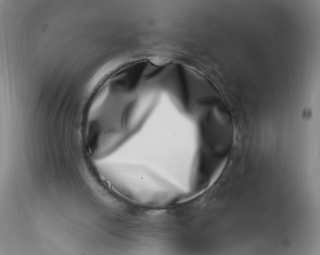 X0000113200054200910011306