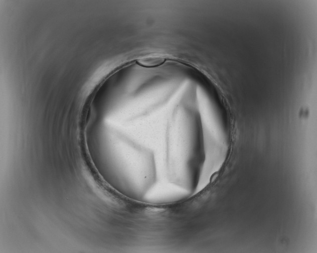 X0000113200055200910011306