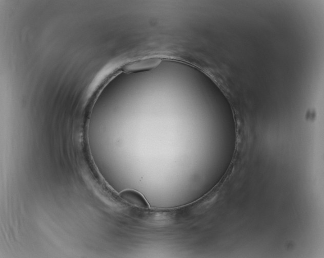 X0000113200056200910011306