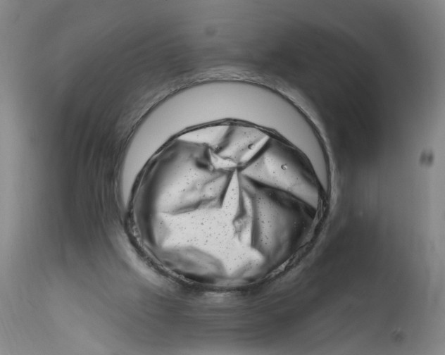 X0000113200057200910011306