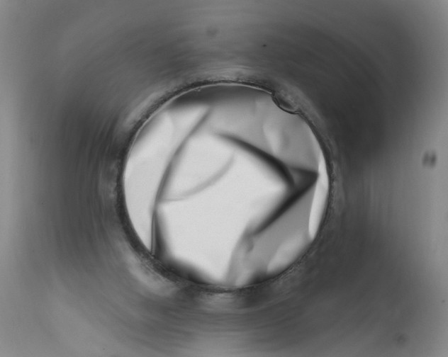 X0000113200058200910011306