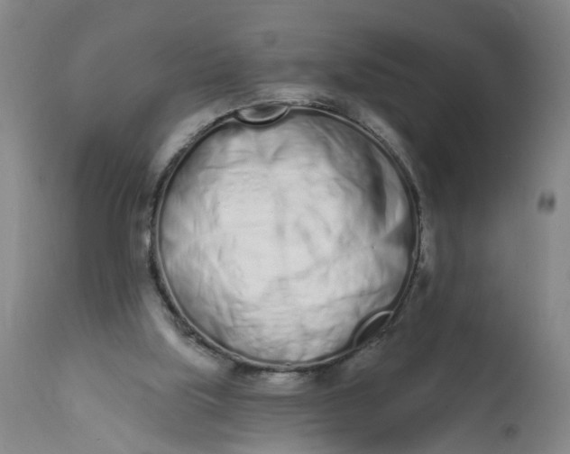 X0000113200059200910011306