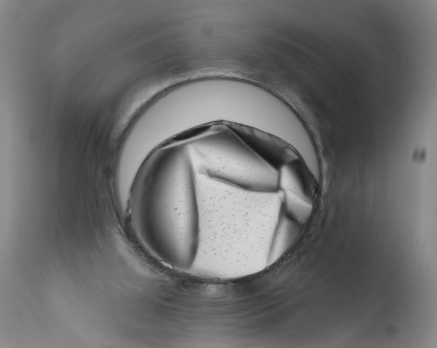 X0000113200060200910011306