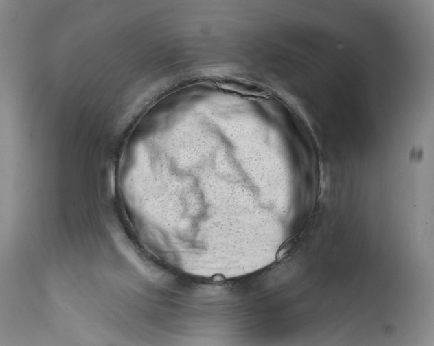 X0000113200061200910011306