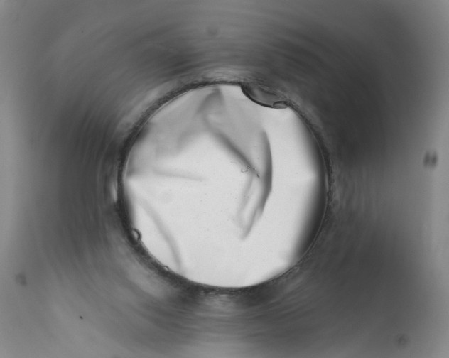 X0000113200062200910011306