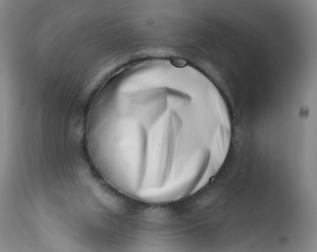 X0000113200063200910011306