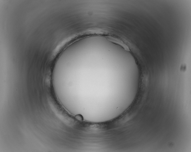 X0000113200064200910011306