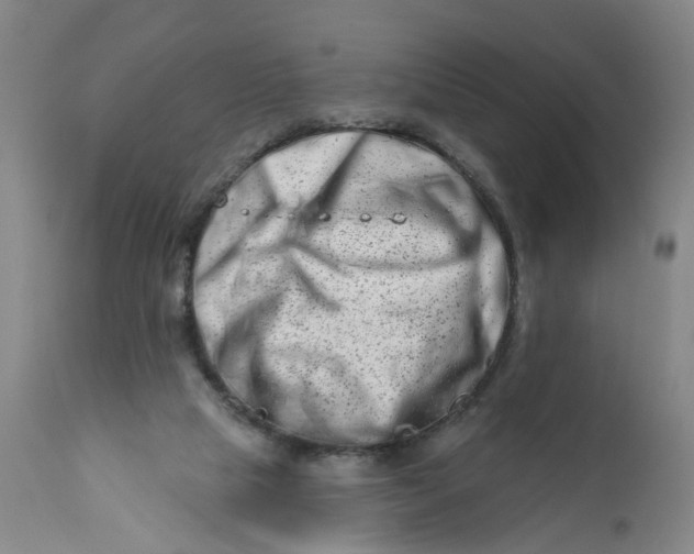 X0000113200065200910011306