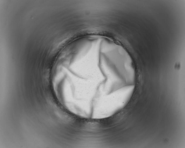 X0000113200066200910011306