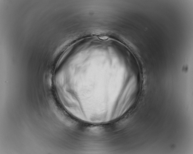 X0000113200067200910011306