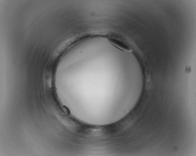 X0000113200068200910011306