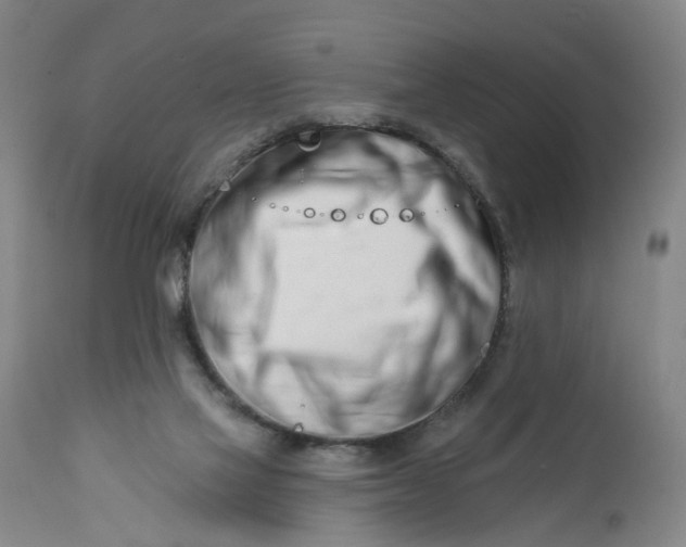 X0000113200069200910011306