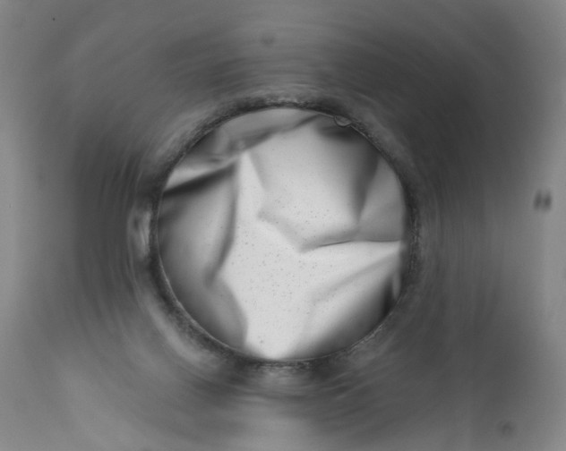 X0000113200070200910011306