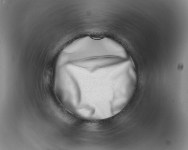 X0000113200071200910011306