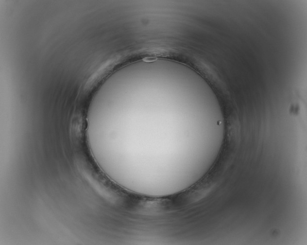 X0000113200072200910011306